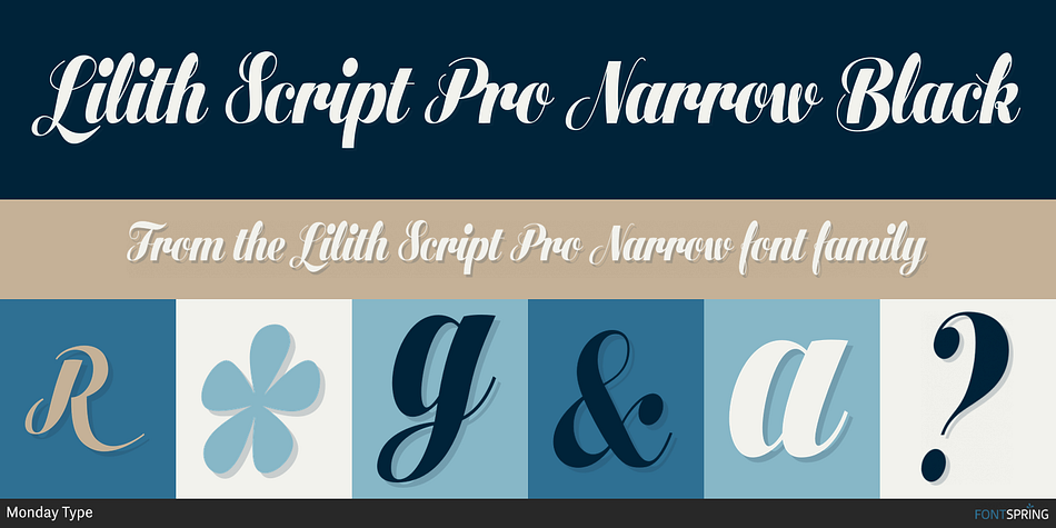 Lilith Script Pro Narrow Black Font