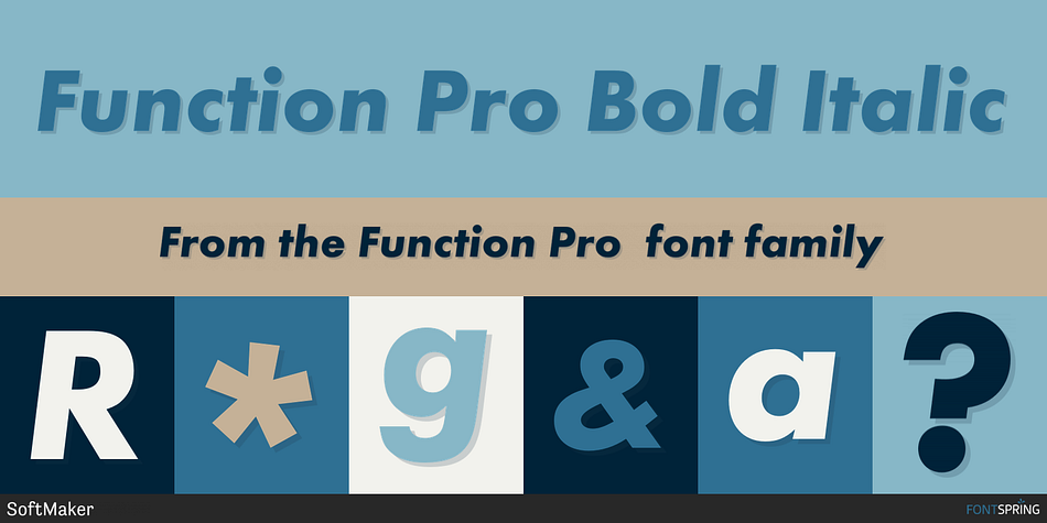 Function Pro Bold Italic Font