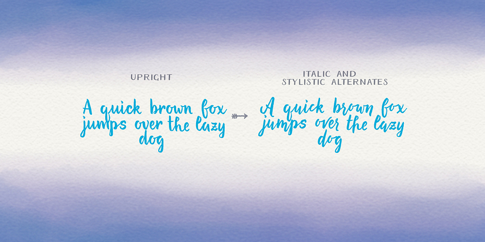 There are more than 600 glyphs in the font including two capital letter sets, ligatures, terminal forms, stylistic alternates, underline feature etc.