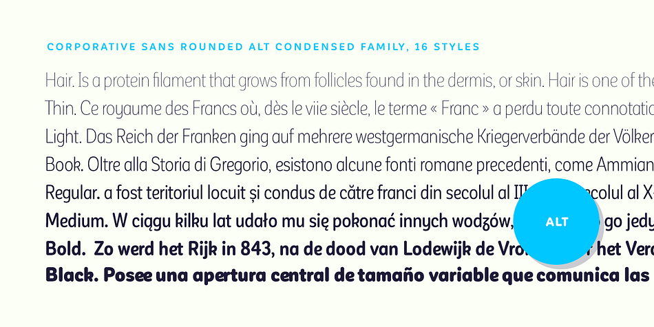 The family consists of 32 fonts: a basic family that includes 8 weights plus italics and an alternative family of 8 weights with matching italics as well.