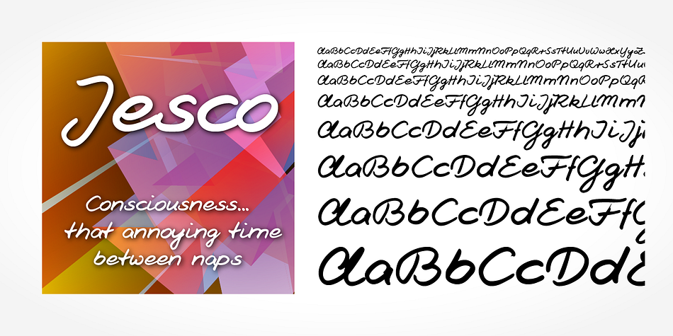 “Jesco Handwriting Pro” is a beautiful typeface that mimics true handwriting closely.