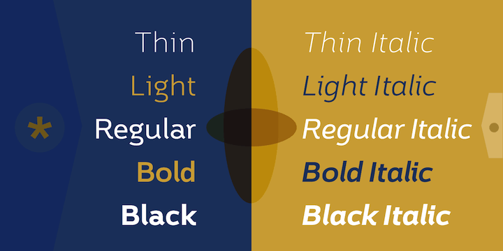 Displaying the beauty and characteristics of the Brisko Sans font family.