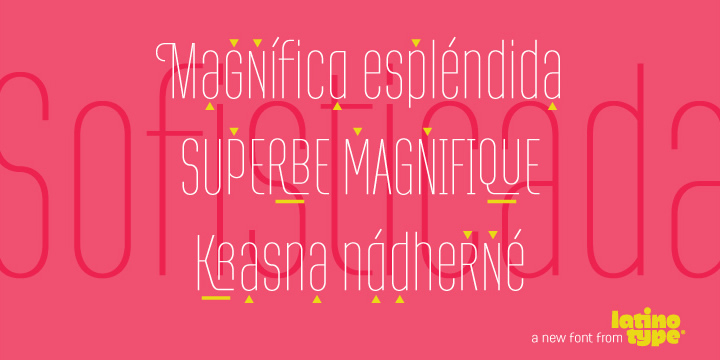 Displaying the beauty and characteristics of the RegiaSansPro font family.