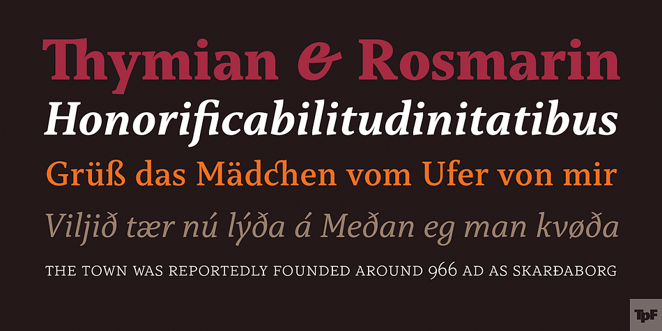 However, it has a distinct approach to the aesthetic treatment of typographic forms that resembles the humanist tradition.