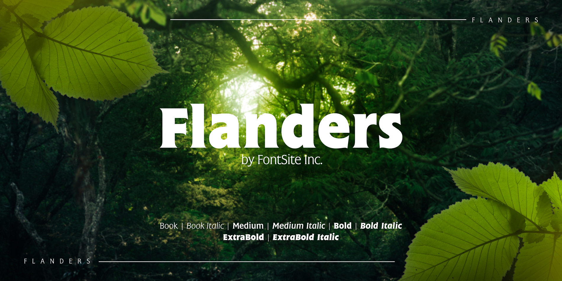 Flanders
