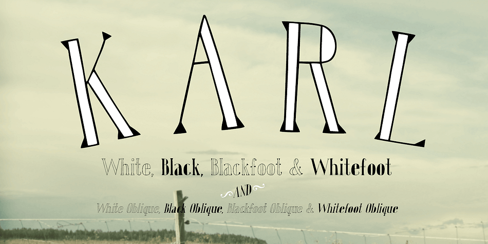 Karl is a hand drawn font that comes in four different variations + four oblique versions.