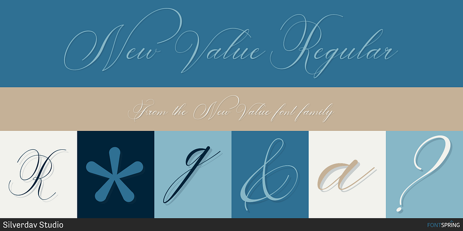 New Value Regular Font