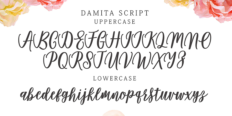 Displaying the beauty and characteristics of the Damita font family.