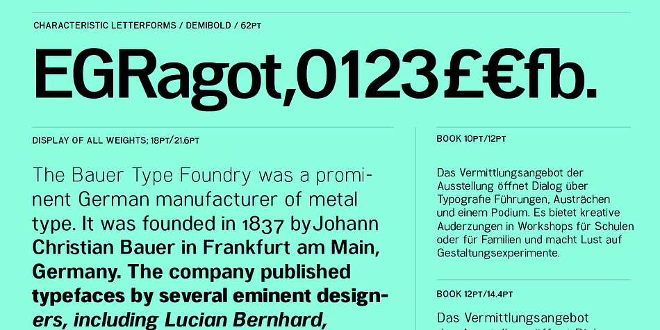 Displaying the beauty and characteristics of the Woolworth font family.
