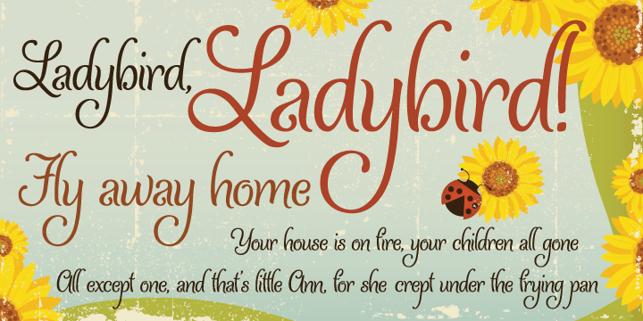 Displaying the beauty and characteristics of the Ladybird font family.