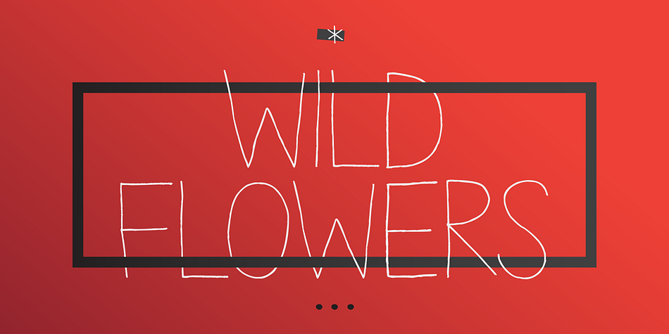Highlighting the Aracne font family.