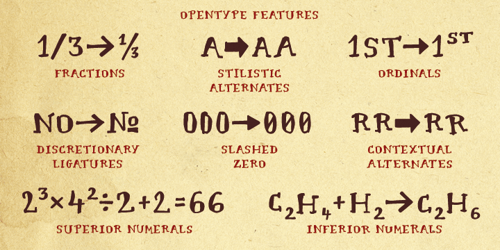 It also has a lot of very useful features including multi-language support, discretionary ligatures, stylistic alternates, fractions, ordinals, contextual alternates and more.