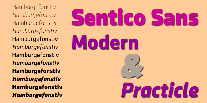 Displaying the beauty and characteristics of the SenticoSansDT font family.