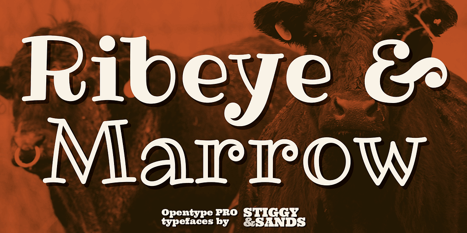 The Ribeye Pro Family is reminiscent of a cartoon tattoo style of lettering, but exhibits a playfulness that breaks traditional weight distribution across its letterforms. An edgy attitude, friendly syncopation, and highly legible letterforms makes these fonts a real pair of charmers.