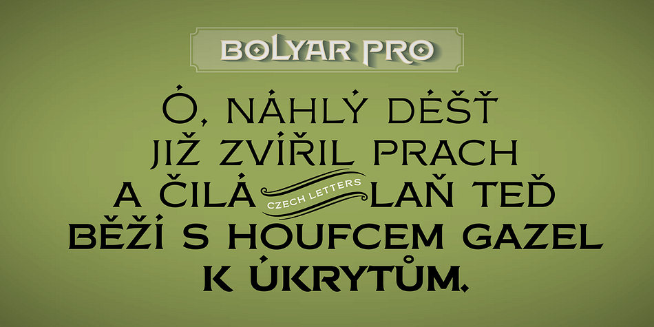 Alternates, Swashes, and Ligatures will help you customize almost every single letter and fit perfectly to your artwork.