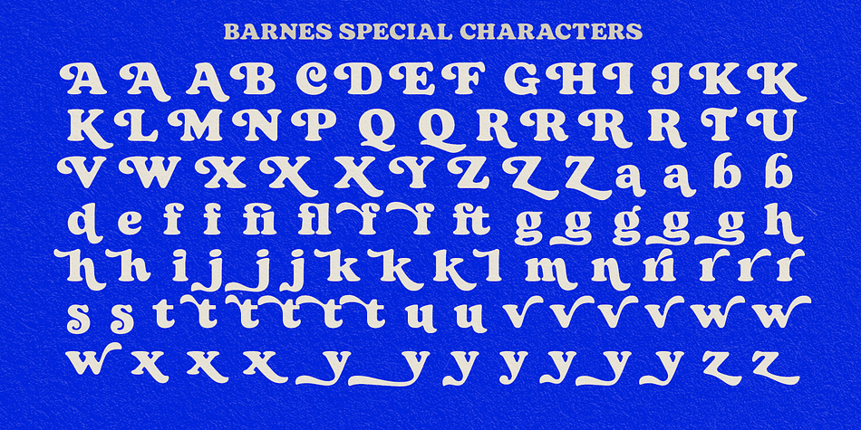 Barnes Font