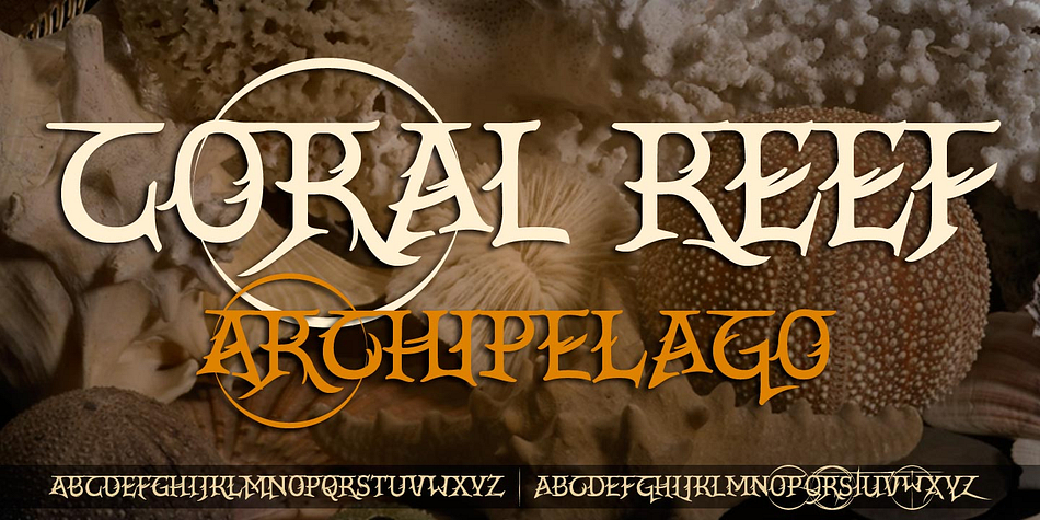 This fonts do not have faces lowercase, but all caps.