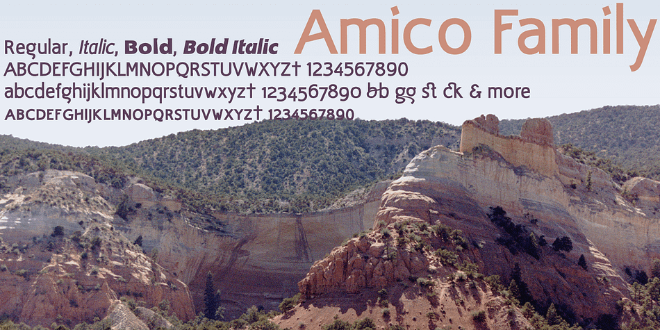 Displaying the beauty and characteristics of the Amico font family.