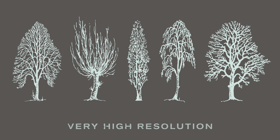 Displaying the beauty and characteristics of the Cozza font family.
