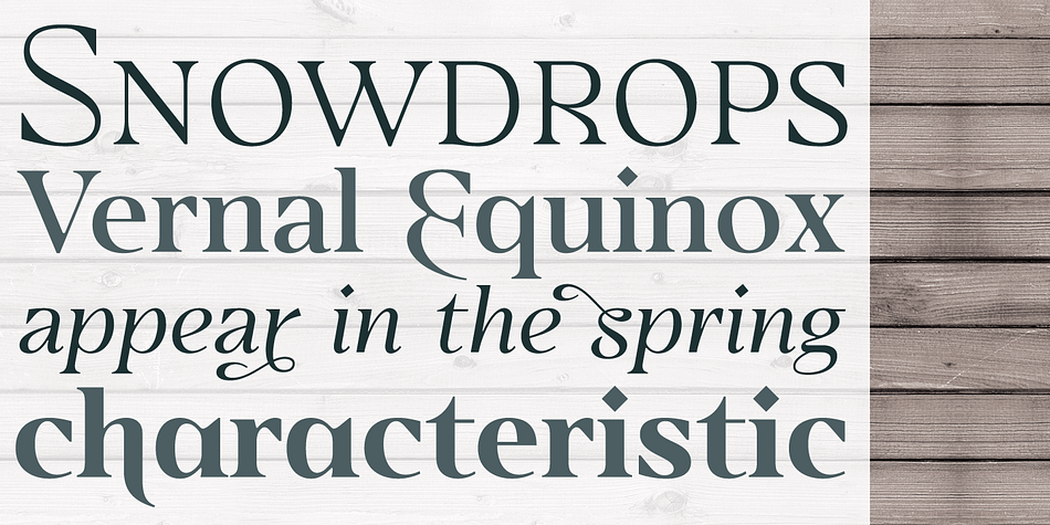 Eirlys is a a twenty-four font family.