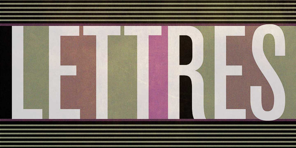 In 2008, CastleType released additional members of the Standard CT family to make it a complete typographic solution with three widths (normal, condensed, extended) of four weights each (Regular, Medium, Bold, and Extra Bold).