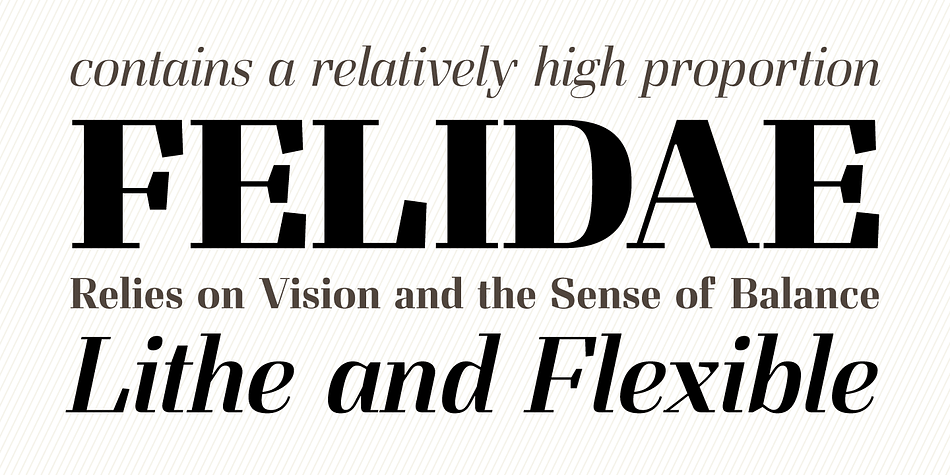 Felis font family sample image.
