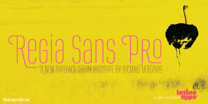 Regia Sans is a typeface that began in 2008, in Concepción, Chile, and was first released for sale to see Latinotype.
