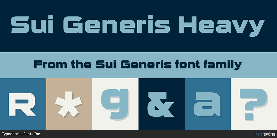 Sui Generis Heavy Font