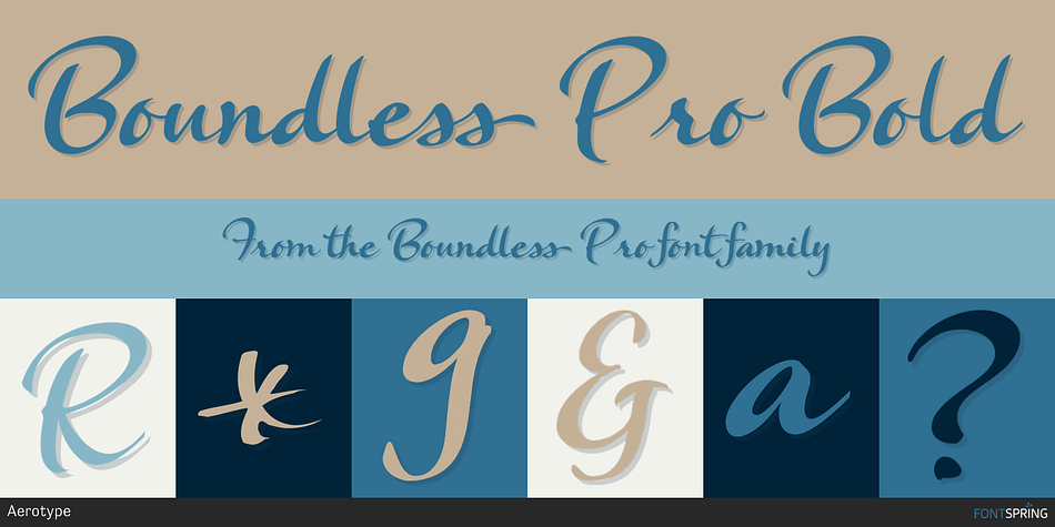 Boundless Pro Bold Font