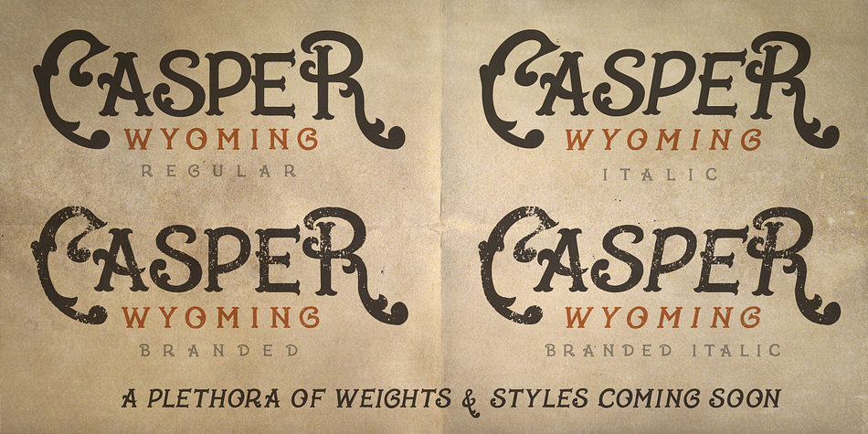 Cowboss font family example.