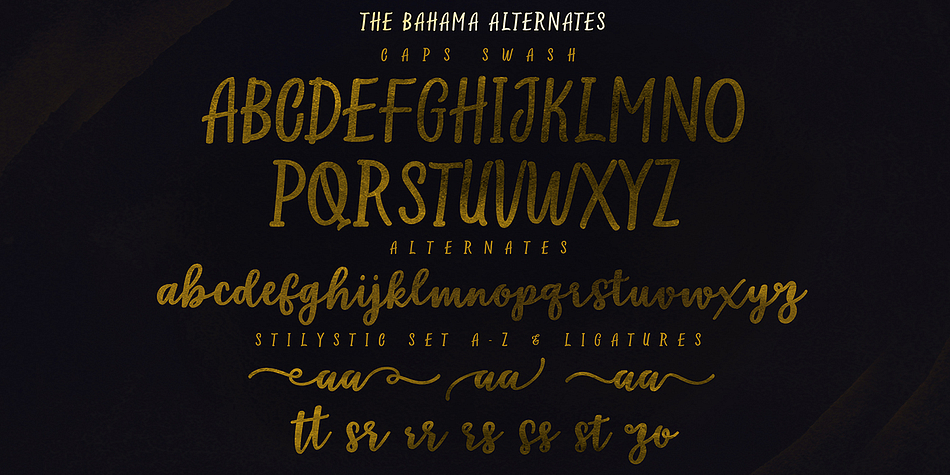 Highlighting the Bahama Script font family.