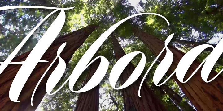 Arbordale OpenType features include Contextual Alternates and Standard Ligatures and has good Latin language support.