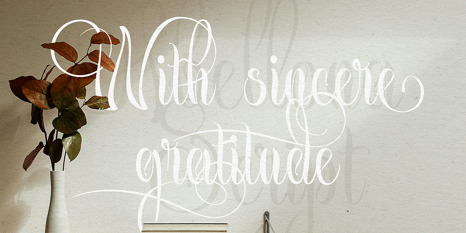 Abellona Script Font