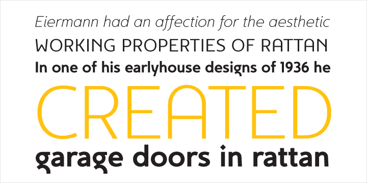 Displaying the beauty and characteristics of the Egon Sans font family.