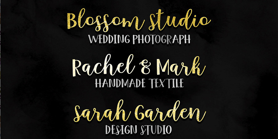 Opentype features with stylistic alternates, ligatures and multiple language support.