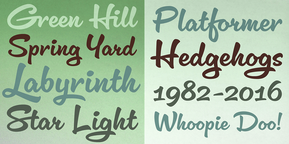 This is a versatile brush script style font.