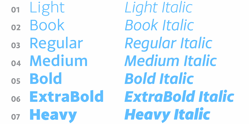 Displaying the beauty and characteristics of the Monsal Gothic font family.