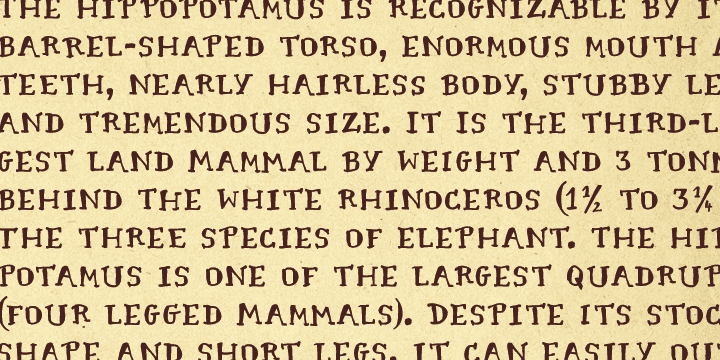 Displaying the beauty and characteristics of the Cartographer font family.