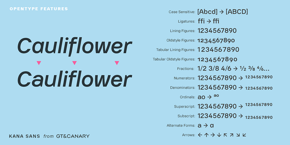 With Six different weights and matching italics, Kana Sans is a powerful communication tool for today.