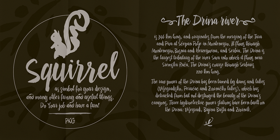 Drina is a script handwritten font with a casual and modern look.
