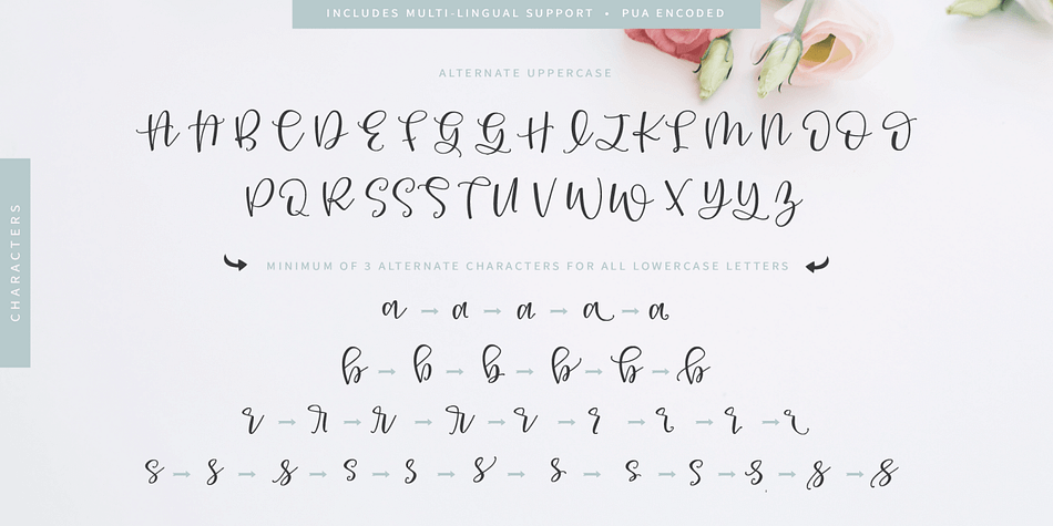 Roseroot Cottage Font Collection Font