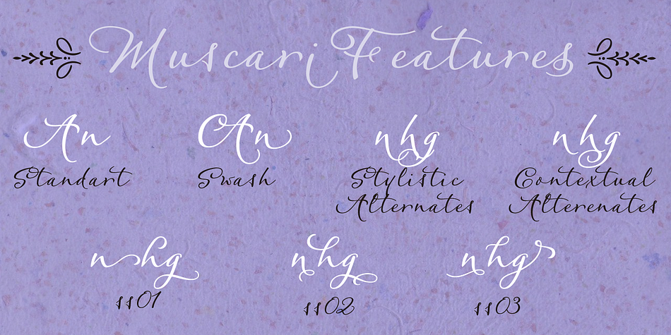 Highlighting the Muscari font family.