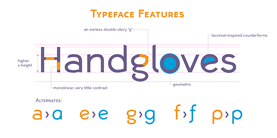 Typeface Features