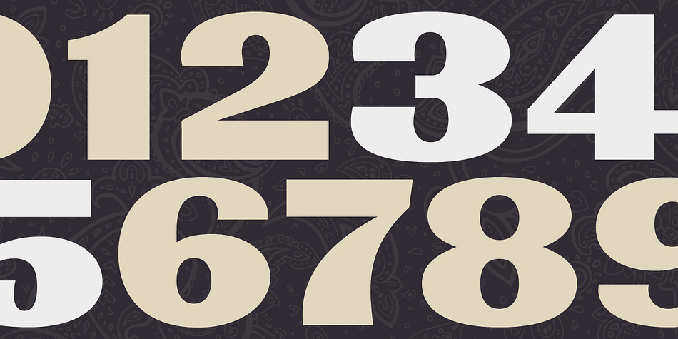 Each font in the family includes 391 glyphs.