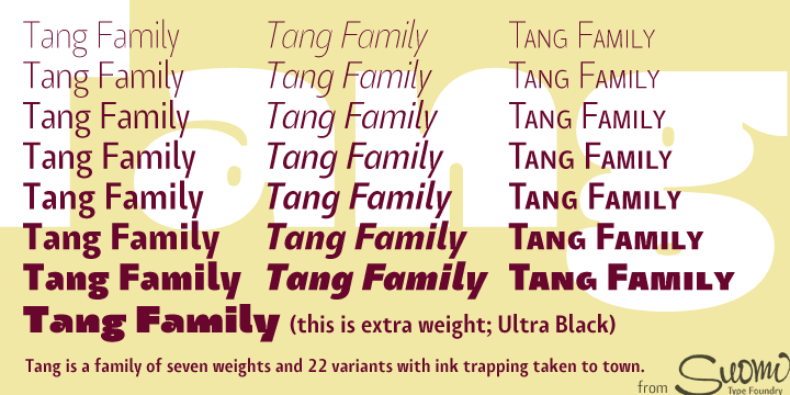 Displaying the beauty and characteristics of the Tang font family.