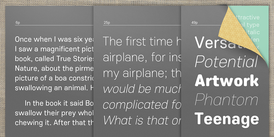 The Core Sans ES Family consists of 9 Weights (Thin, ExtraLight, Light, Regular, Medium, Bold, ExtraBold, Heavy, Black) and Italics for each format.