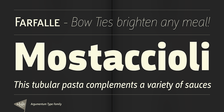Displaying the beauty and characteristics of the Argumentum font family.