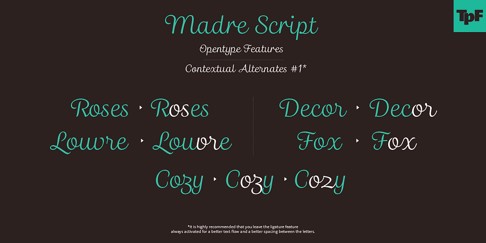 Emphasizing the popular Madre Script font family.