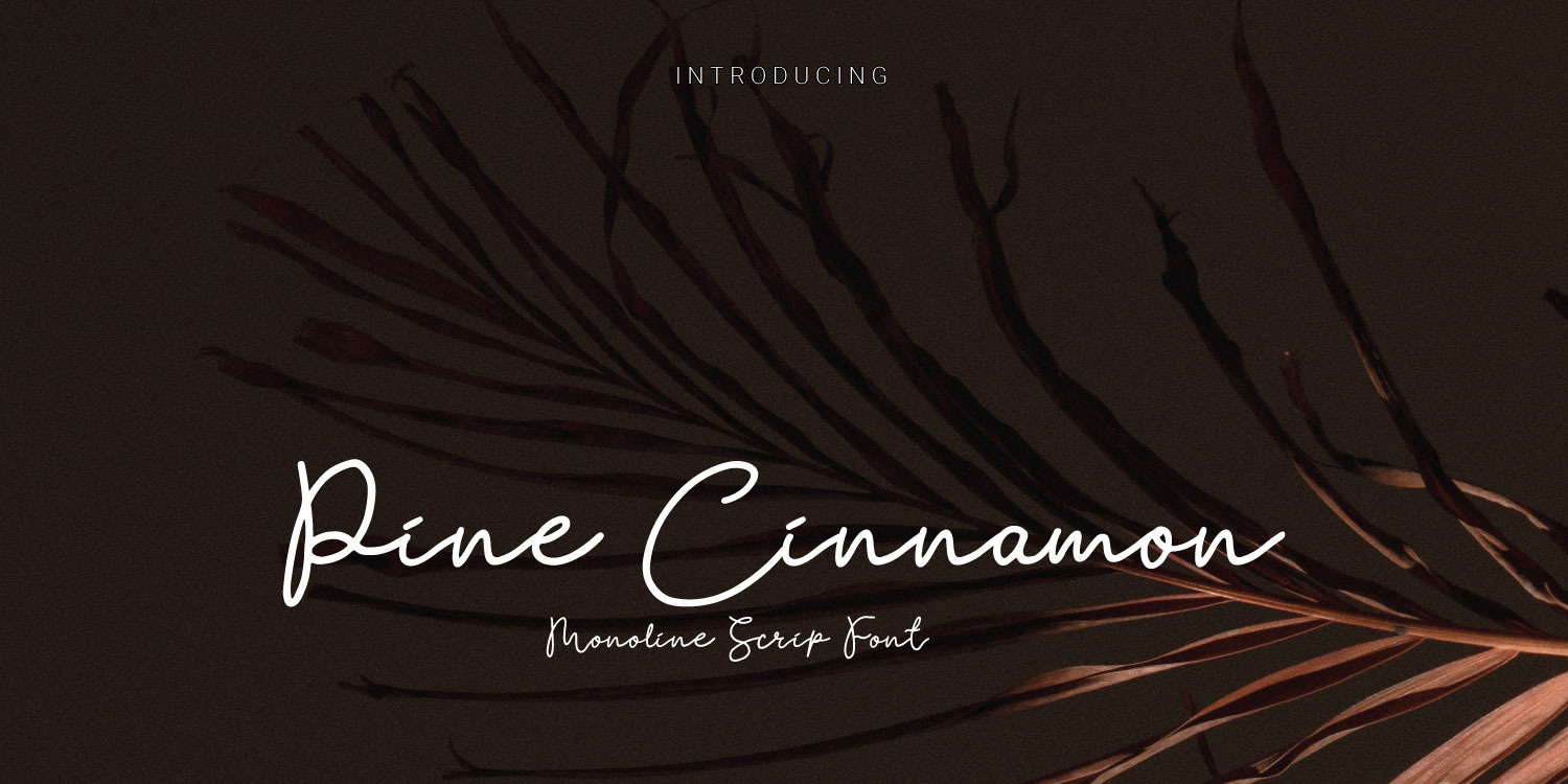 Pine Cinnamon