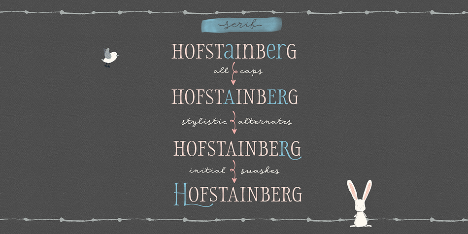 Displaying the beauty and characteristics of the Storyteller font family.